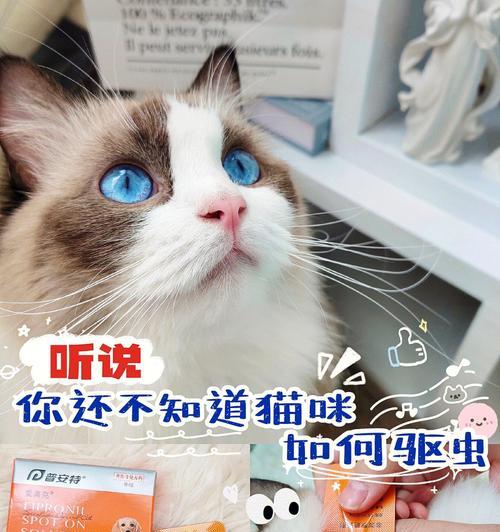 猫咪驱虫须在疫苗前几天进行（关爱宠物健康）