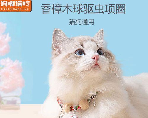 猫咪生产后易长虱子的原因与预防方法（宠物主人必读！如何保护你的猫咪免受虱子侵害）