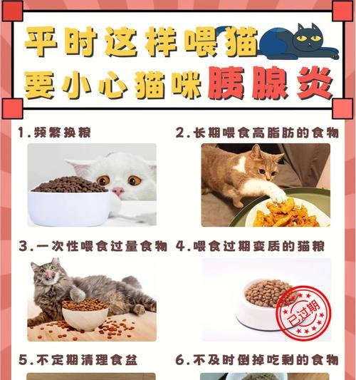 猫咪胰腺炎治疗药品推荐（以宠物为主）