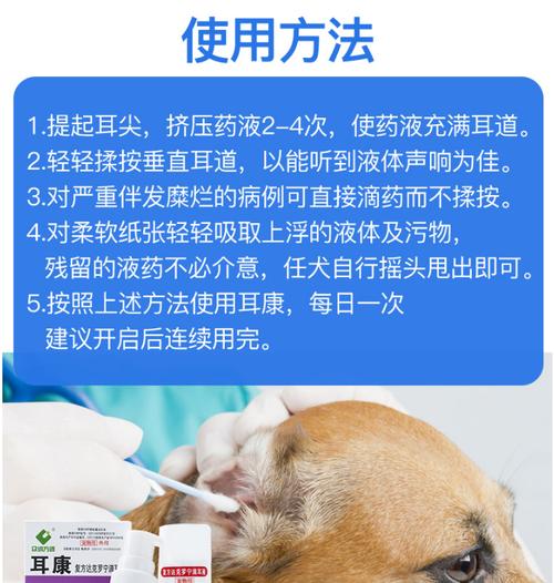 如何应对宠物猫咪的中耳炎（预防与治疗）