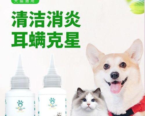 如何应对宠物猫咪的中耳炎（预防与治疗）