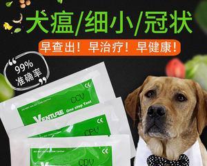 犬瘟病治疗药物指南（宠物狗得了犬瘟病）