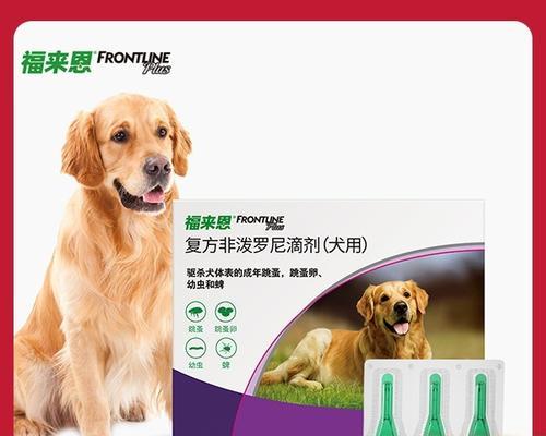 以犬心保体内驱虫（宠物健康重在预防）