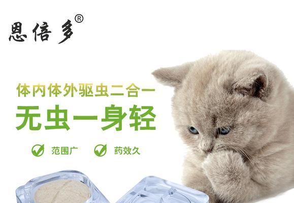 给宠物猫体喂驱虫药的正确方法（如何保证小猫的健康与幸福）