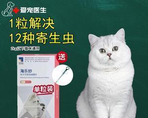 如何正确使用猫咪驱虫药（让宠物健康从小事做起）