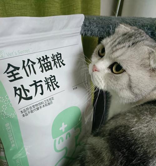 猫咪软便如何处理（探讨宠物医疗中软便问题）