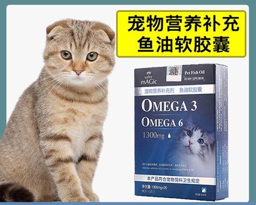 如何为猫妈妈提供适宜的小猫食物（探究小猫营养需求）