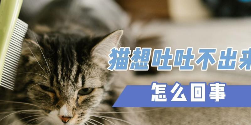 猫咪早上突然呕吐，该如何应对（宠物饮食管理的必要性）