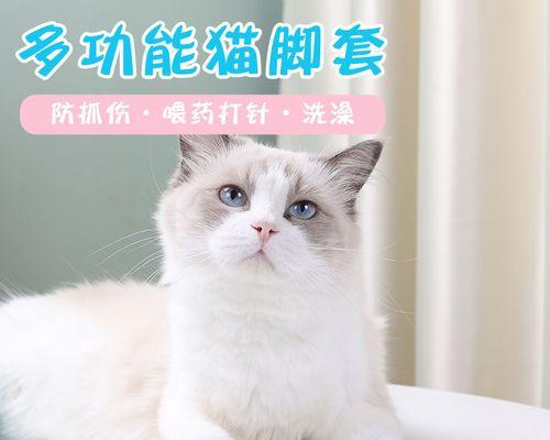 猫咪爪子为何会变黑（探究猫咪爪子变黑的原因及解决方法）