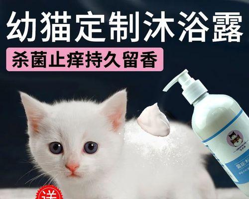 如何预防宠物猫咪螨虫（掌握清洁技巧）