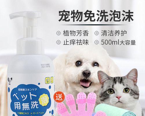 如何预防宠物猫咪螨虫（掌握清洁技巧）