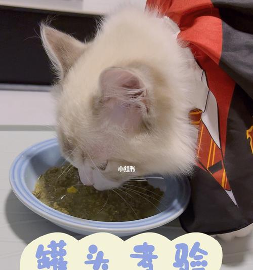 猫咪粑粑的颜色变化（探究猫咪粑粑为什么会变色）