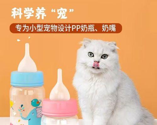 宠物猫咪突然不喝奶怎么办（以人工喂养救救它）