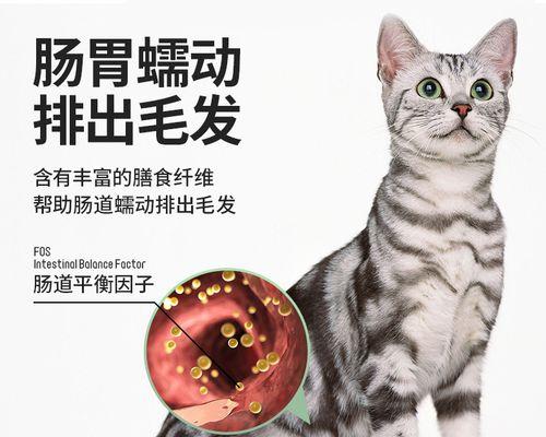 挑选适合宠物的猫咪化毛膏