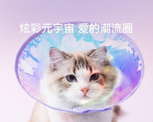 小狗舔小猫的原因（以宠物为主的跨物种行为解析）