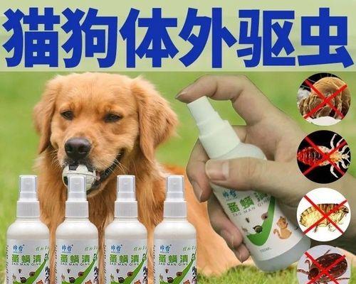 小狗虫卵的特点和预防方法（保护宠物健康）