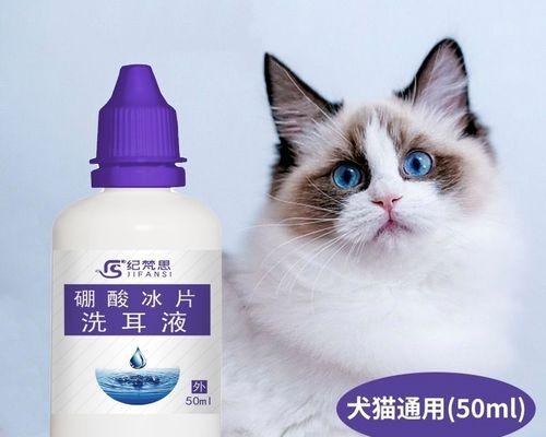 小猫耳朵的神奇之处（探秘小猫耳朵的构造和作用）