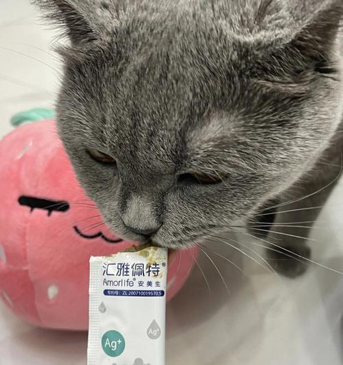 如何正确喂养宠物猫的化毛膏（了解化毛膏的成分和使用方法）