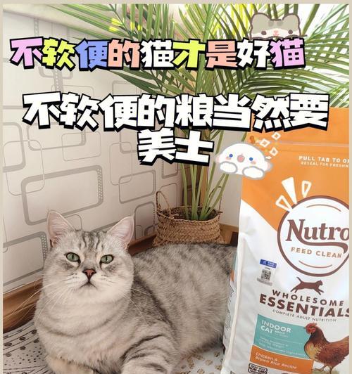 宠物小猫软便应该怎么处理（药物治疗）