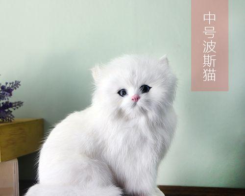 DIY小猫玩具帽，让宠物更可爱（用简单的材料）