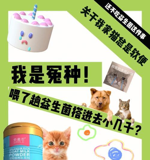 如何给宠物猫咪喂益生菌（了解益生菌的作用和喂养方法）