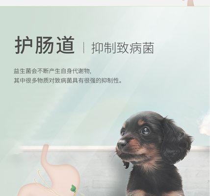 如何给宠物猫咪喂益生菌（了解益生菌的作用和喂养方法）