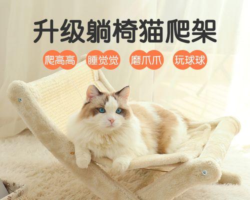 如何为你的宠物猫制作猫抓板（简单实用的DIY猫抓板教程）