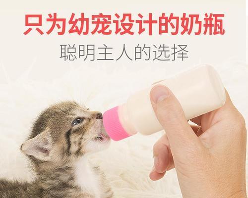 如何判断宠物猫咪要生产（了解猫咪的身体信号）