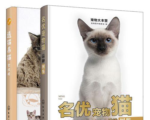 如何判断宠物猫咪要生产（了解猫咪的身体信号）