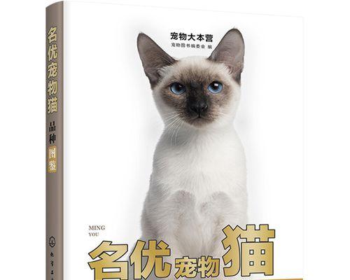 如何判断猫咪是否怀孕（宠物养护技巧）