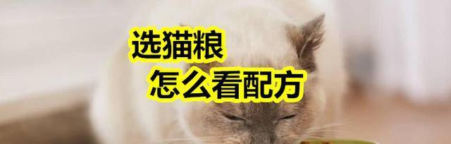 如何选择适合小猫的猫粮（从宠物健康和品牌选择两方面进行分析）