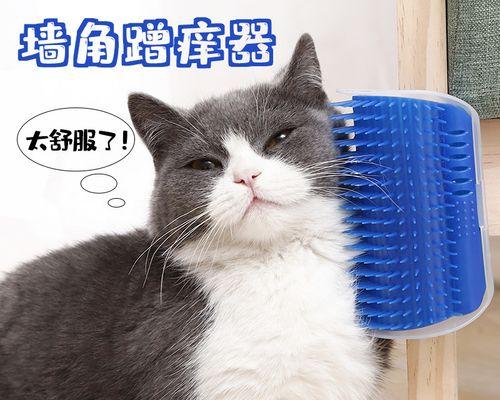 如何训练猫咪使用猫抓板（让宠物猫爱上猫抓板的小技巧）