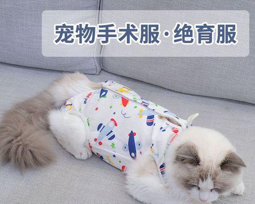 如何防止母猫藏小猫（宠物主人必看的母猫产仔知识）