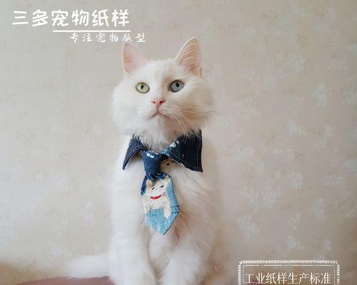 猫咪舔猫（了解猫咪自我清洁和社交行为的重要性）