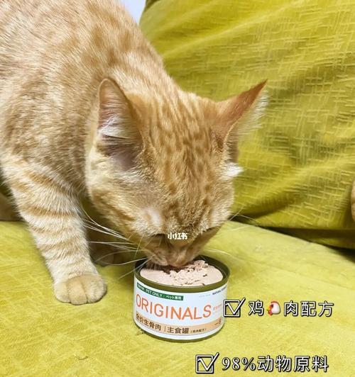 泡猫粮的正确方式（宠物猫的健康食谱）