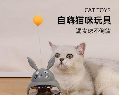 猫咪不肯洗澡？教你几招让它爱上洗澡