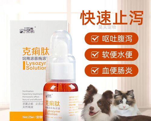 宠物猫咪肠胃炎拉稀呕吐应对指南（解读猫咪肠胃炎的成因、症状和治疗方法）