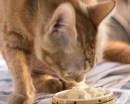 猫咪吃AD罐头的经验分享（以宠物为主）
