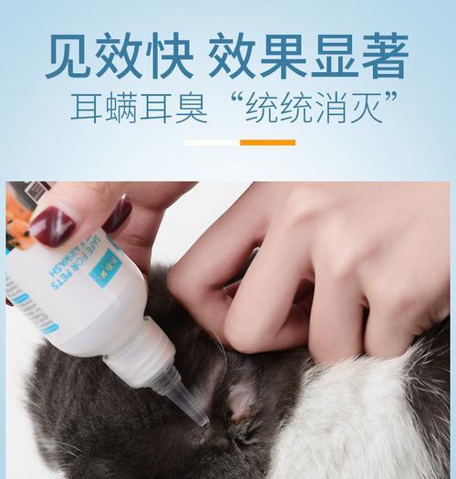 如何去医院清洁宠物猫咪的耳朵（有效预防和清除耳螨）