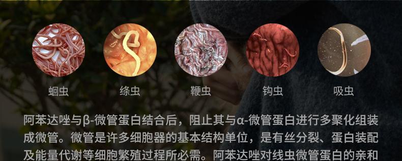 小猫身上的寄生虫——宠物饲养者必须知道的一件事（揭开小猫身上寄生虫的真相）