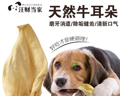 宠物犬咬主人处理方法（了解犬的行为与心理）