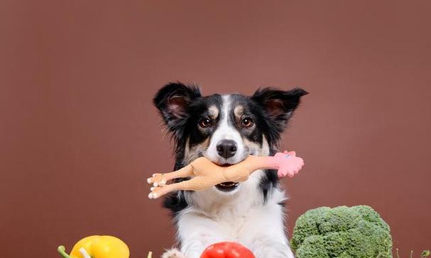 千万不要让宠物狗吃这些蔬菜水果（狗狗不能吃的蔬菜水果种类大揭秘）