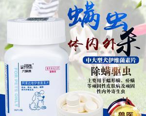 狗狗急性脑炎用药全攻略（宠物主人必读）