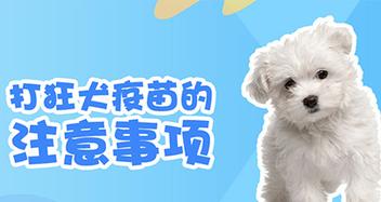 狗狗狂犬疫苗，保障宠物健康（了解狗狗狂犬疫苗）