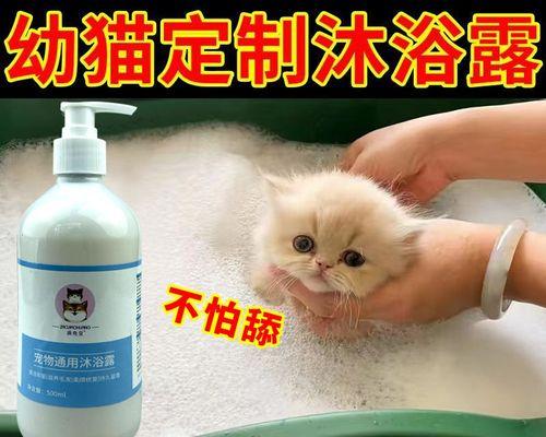 狗狗能否用猫的沐浴乳？探讨宠物用品的交叉使用