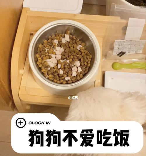 如何帮助宠物狗狗恢复食欲（探究狗狗情绪低落与食欲不振的关系）