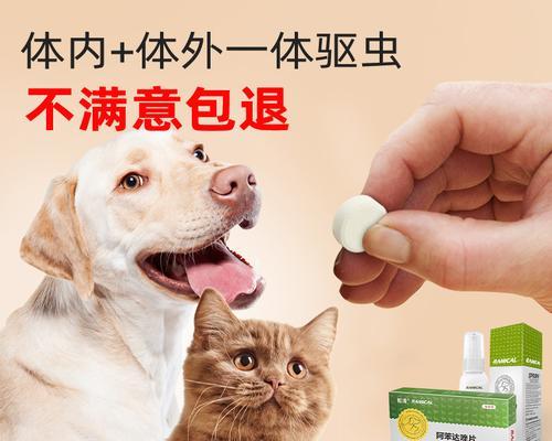 宠物健康管理——狗狗驱虫药的正确使用（以舔身上驱虫药为例）