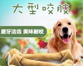 狗狗幼期如何选择磨牙棒（宠物健康）