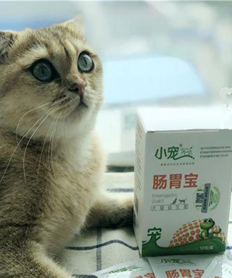 宠物猫吃了益生菌后出现拉肚子症状的原因分析（探究益生菌对于宠物猫肠道健康的影响）