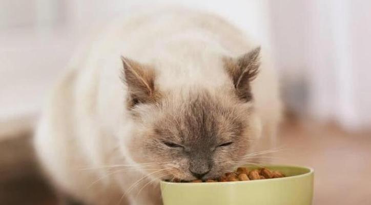 绝育猫咪的饮食管理（以什么猫粮为主）